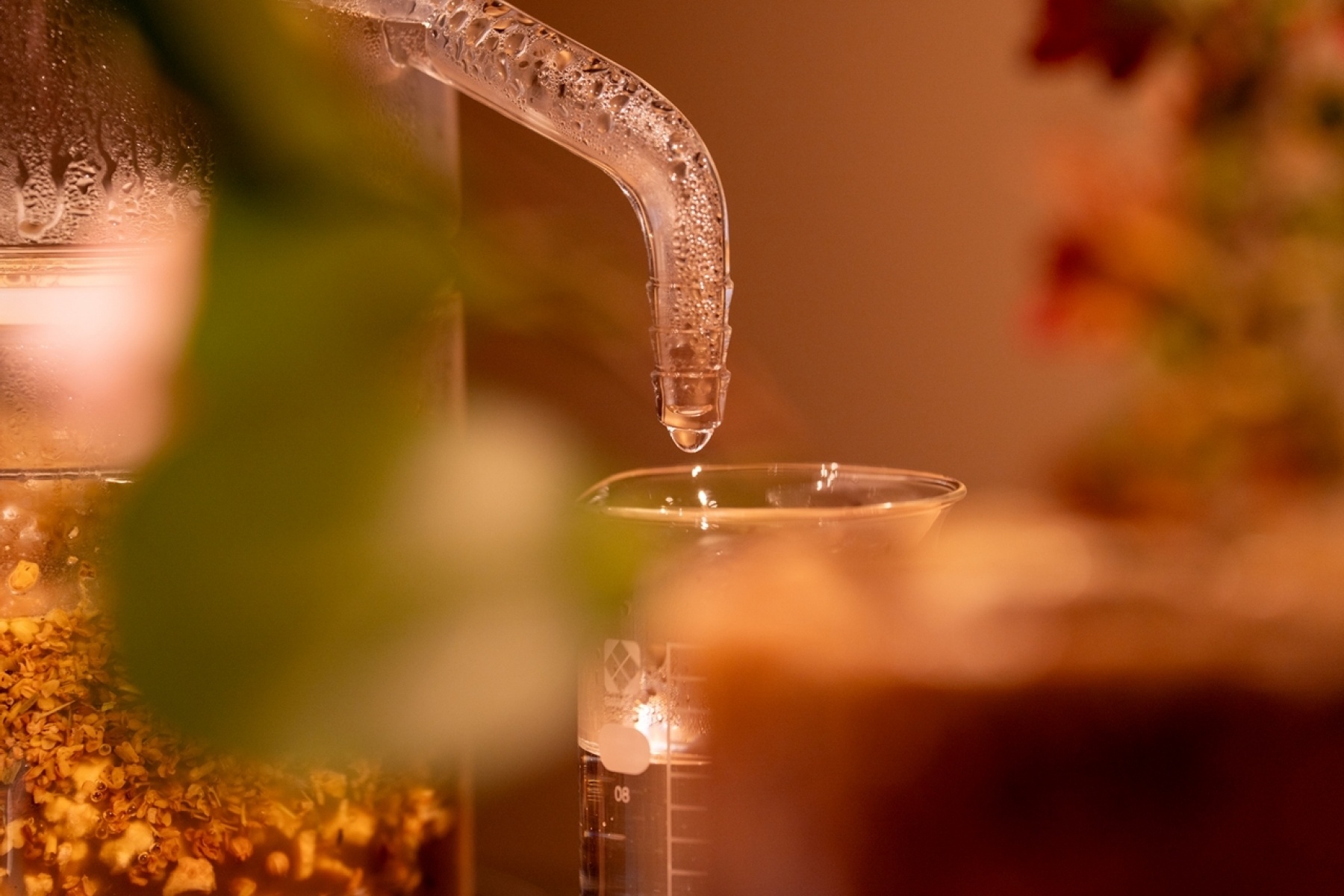 「幾星 京都蒸溜室」にて
「飲む香水」をつくる蒸溜体験教室！
