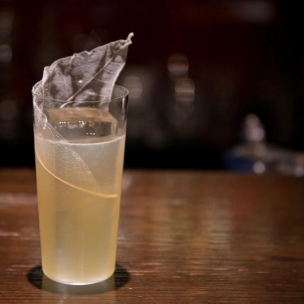 マザーツリー75