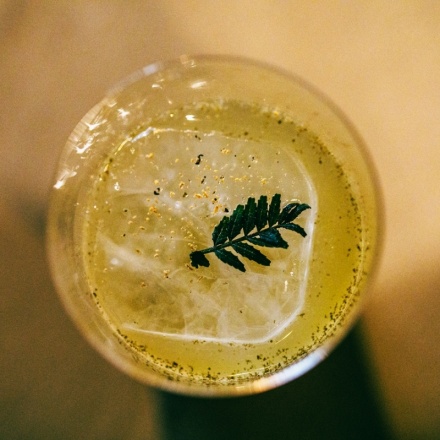 木の芽と姫レモン