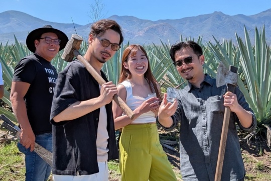 ジェイドックス株式会社<font color=#FF0000>＜終了＞</font>