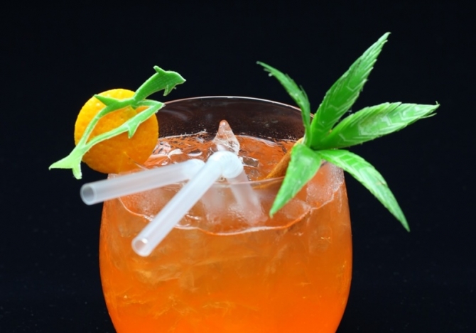 カリビアン・ドリームCaribbean Dream