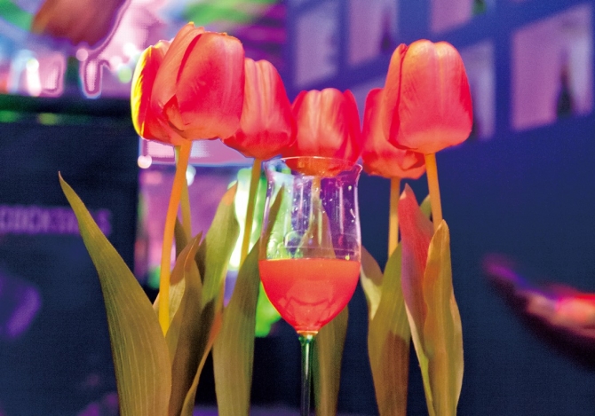 ウェルカム トゥ アルステルダムWelcome to Amsterdam